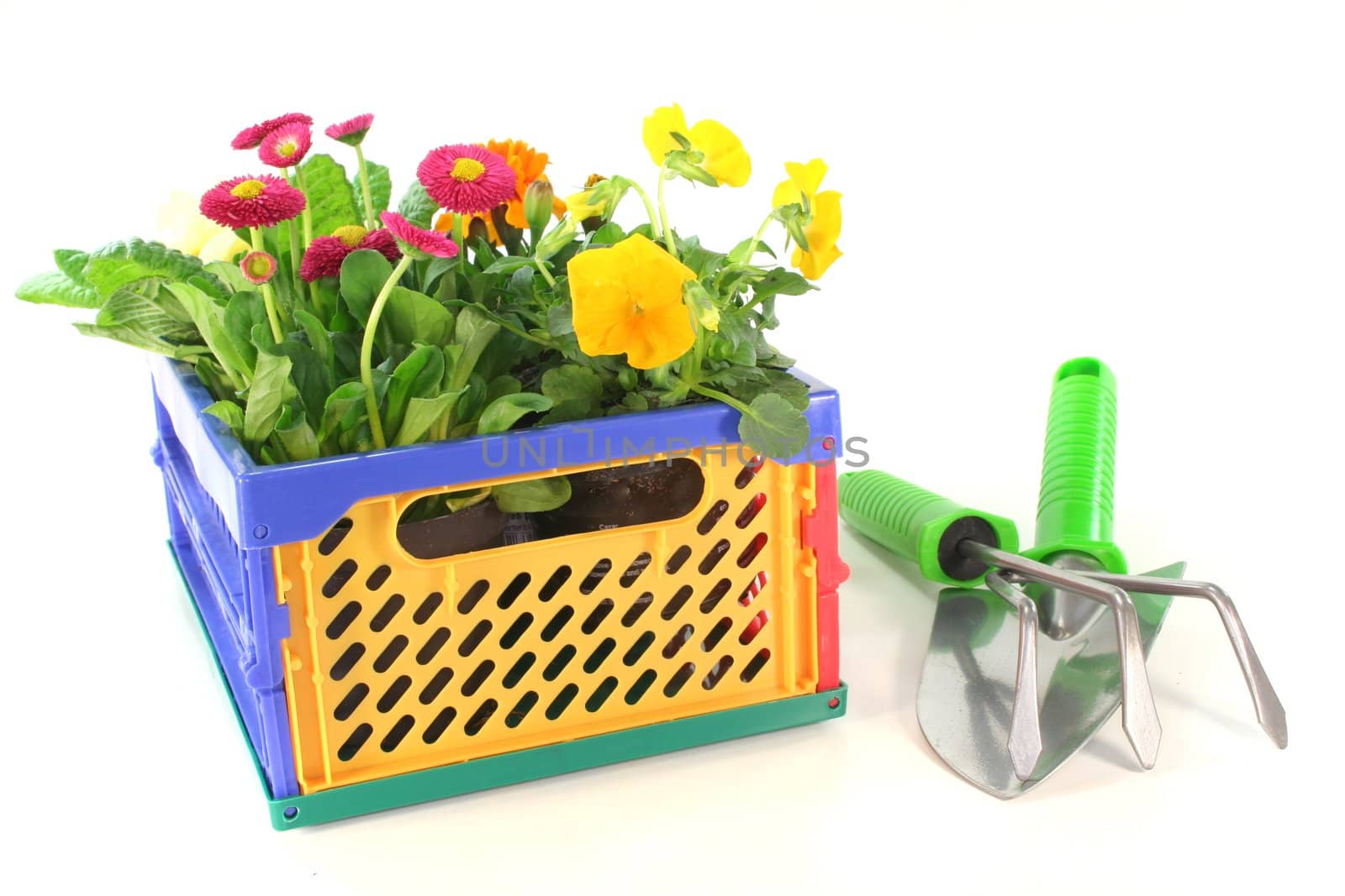 Balcony plants in a folding box with shovel and grubber