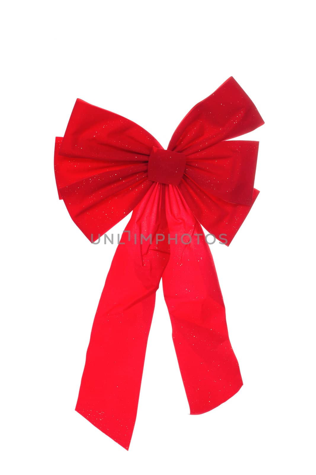 Red bow photo on the white background