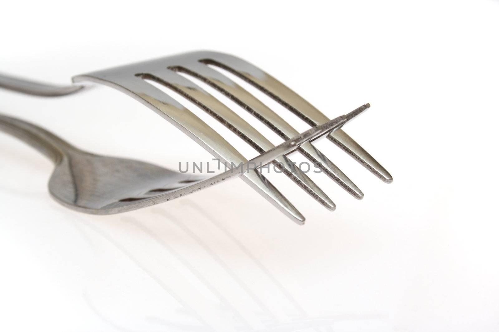 two forks photo on the white background