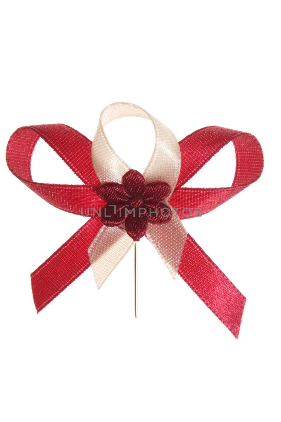 Celebration bow, photo on the white background