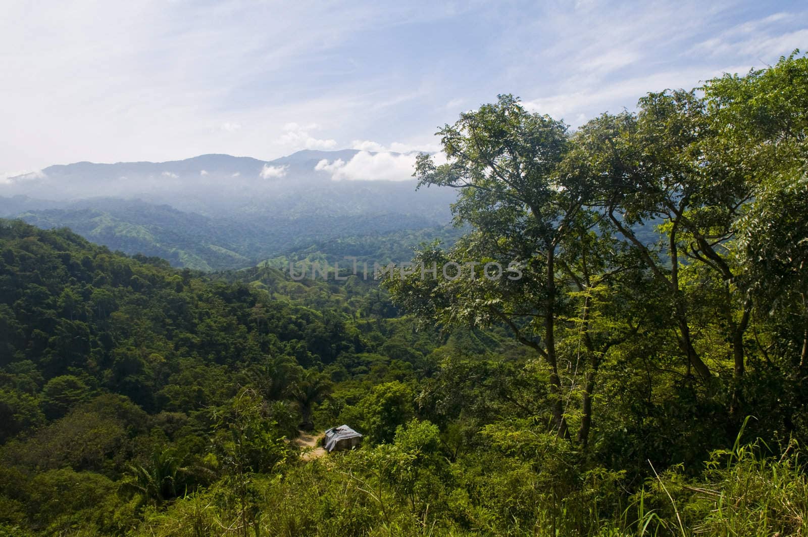 View over Colombian rain forest in "Tayrona park" 