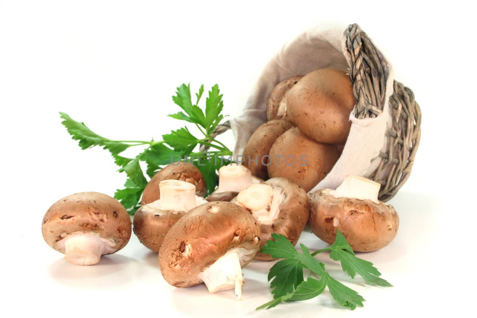 Mushrooms in a basket with parsley on a white background