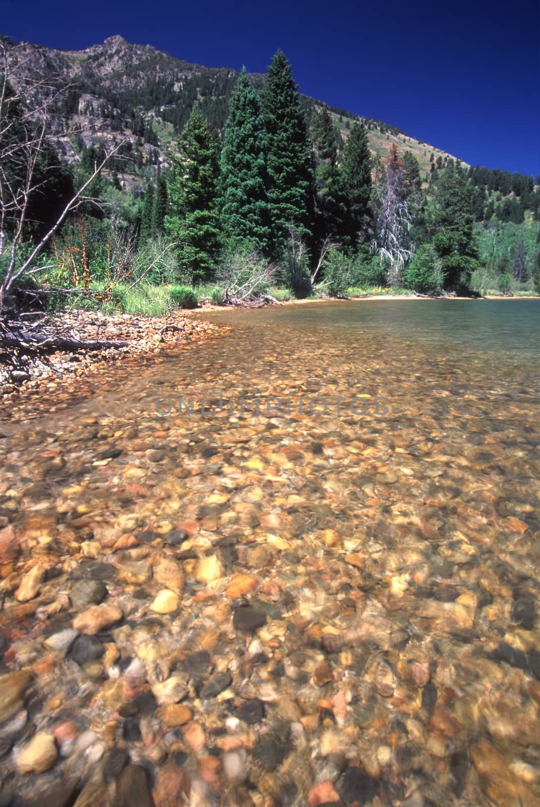 A calm day at Phelps Lake in Grand Teton National Park - Wyoming.