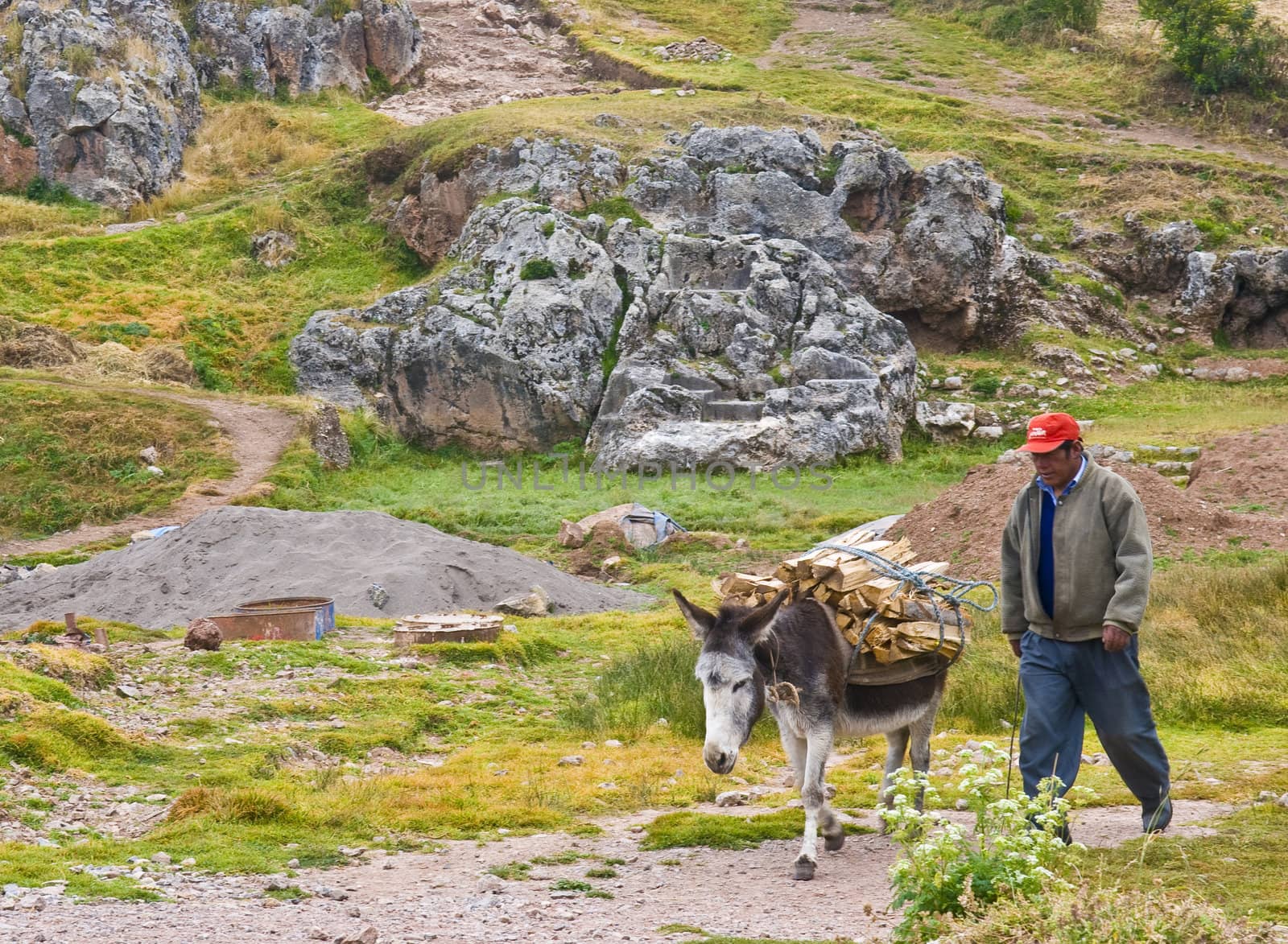 SACRED VALLEY,  PERU - MAY 26 : Donkey carrying wood in the Andes mountains of Peru
