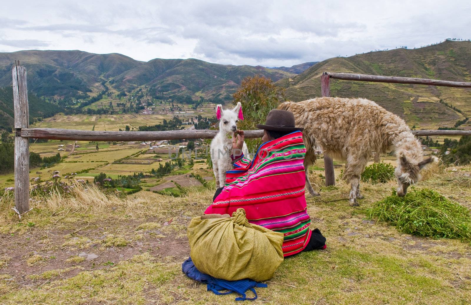 SACRED VALLEY,  PERU - MAY 27 : Unidentified Peruvian woman in traditional colorful clothes seat with here alpacas near a village in the sacred valley , Peru on May 27 2011