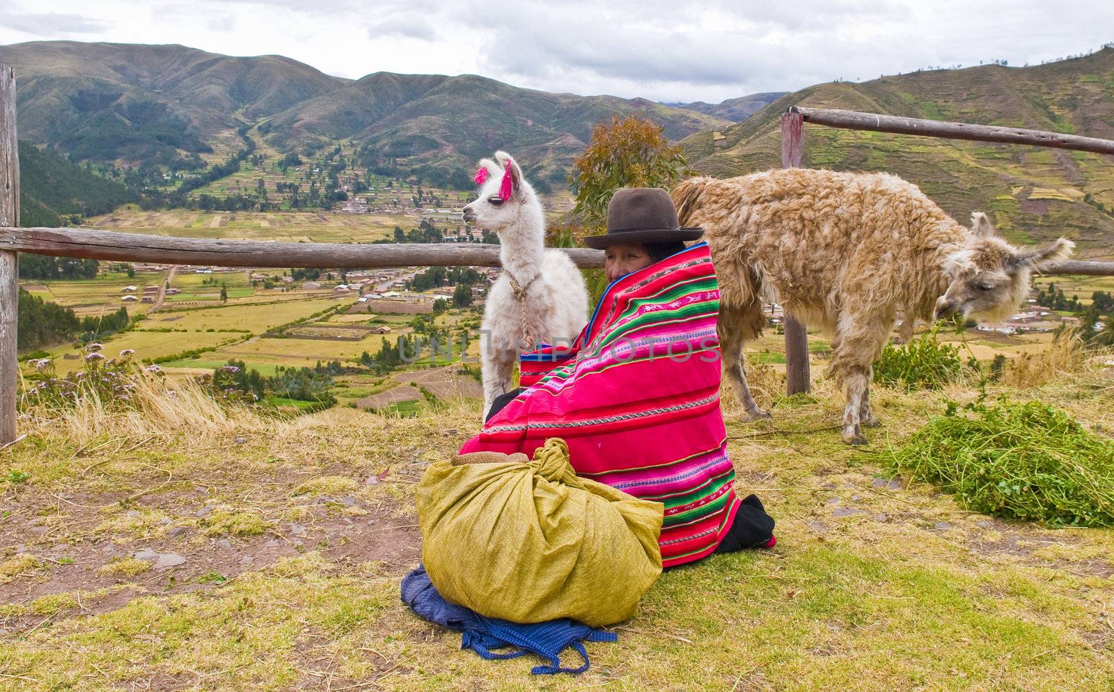 SACRED VALLEY,  PERU - MAY 27 : Unidentified Peruvian woman in traditional colorful clothes seat with here alpacas near a village in the sacred valley , Peru on May 27 2011