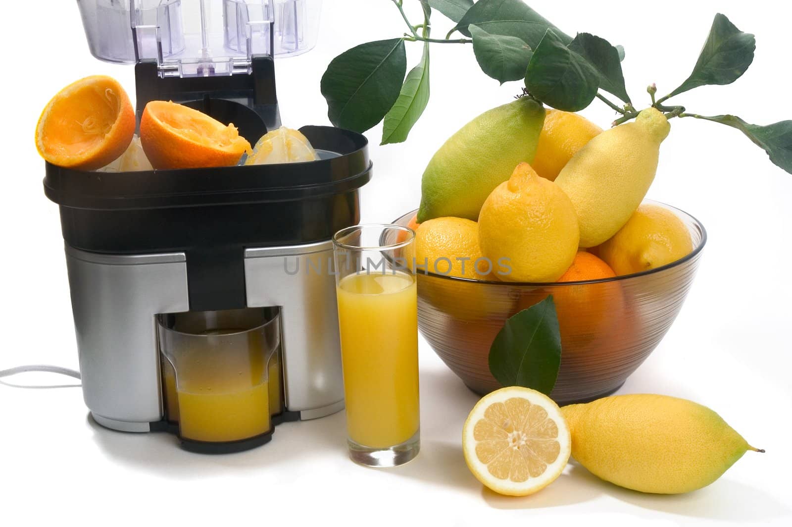 machine for pressing citrus