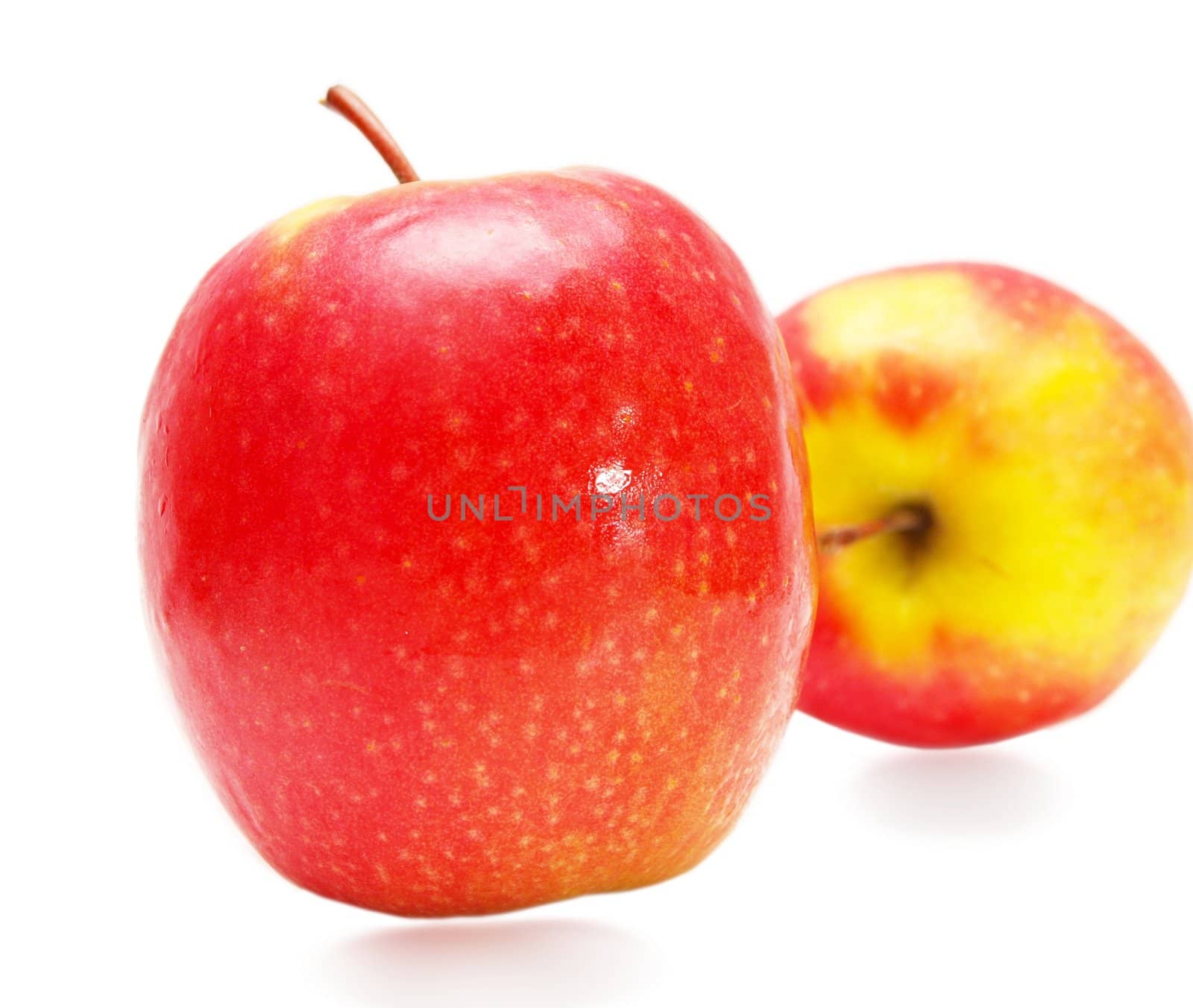 Couple of red apples, isolated towards white background