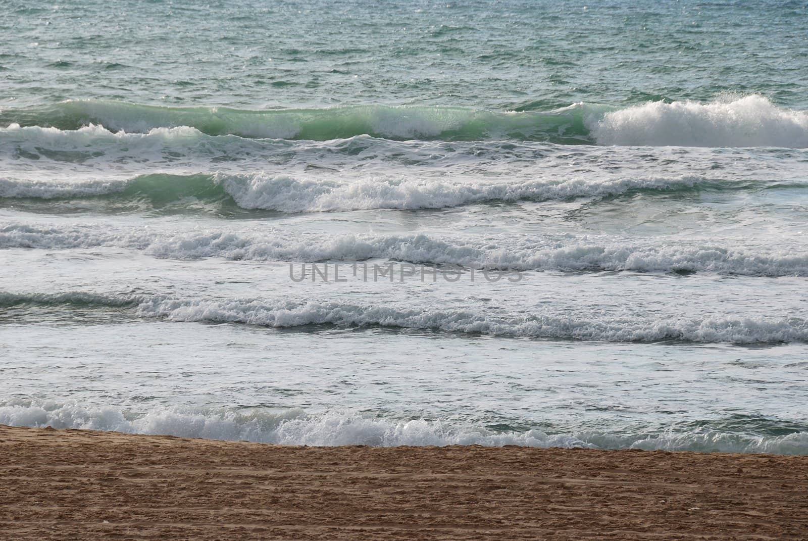 Sea coast with small waves and white horses formed by  foam 