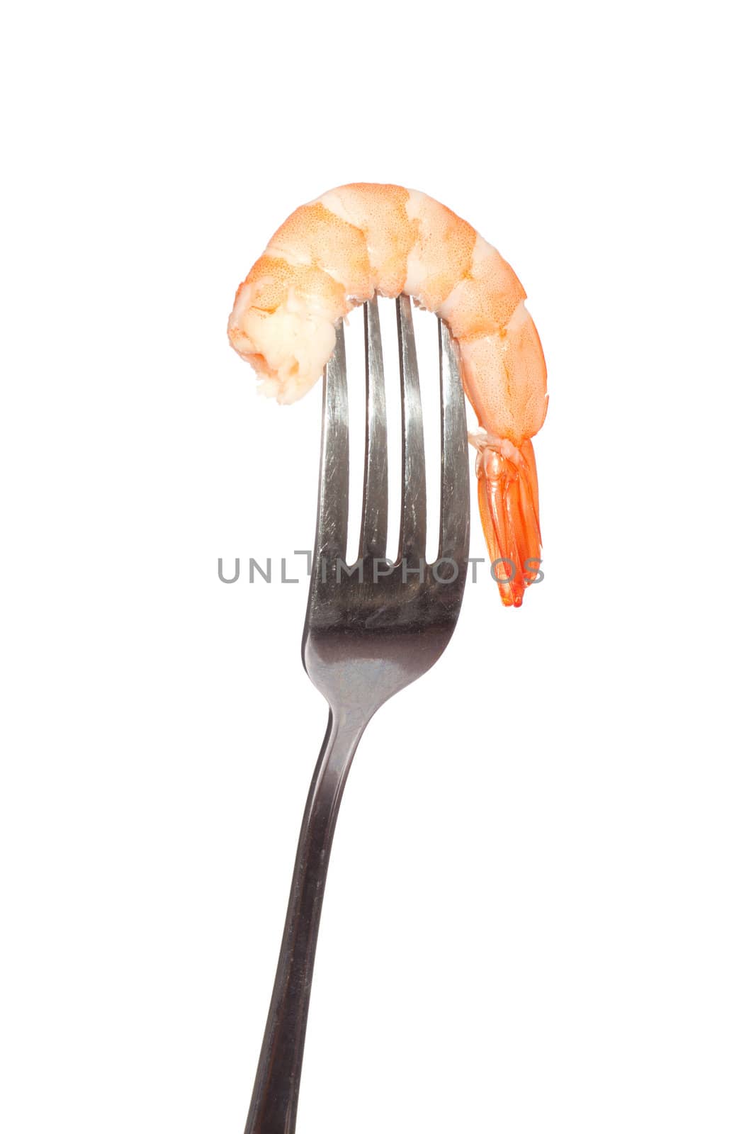 Shrimp on fork by aguirre_mar