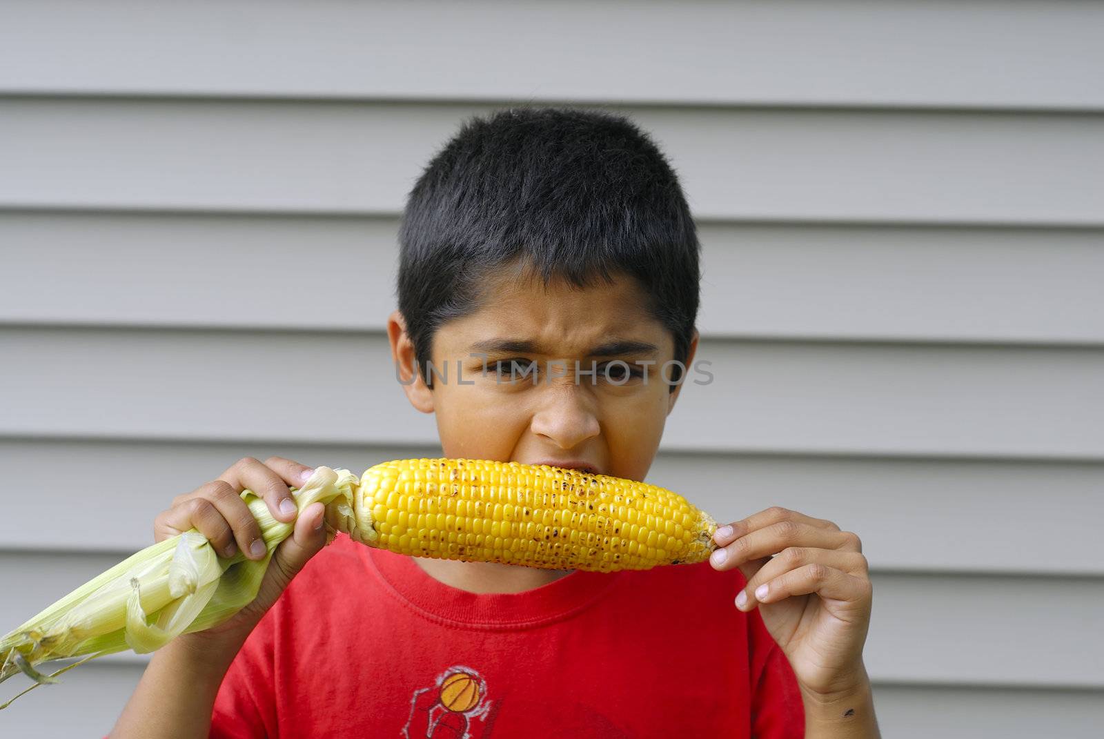 An handsome Indian kid eating corn during thanksgiving