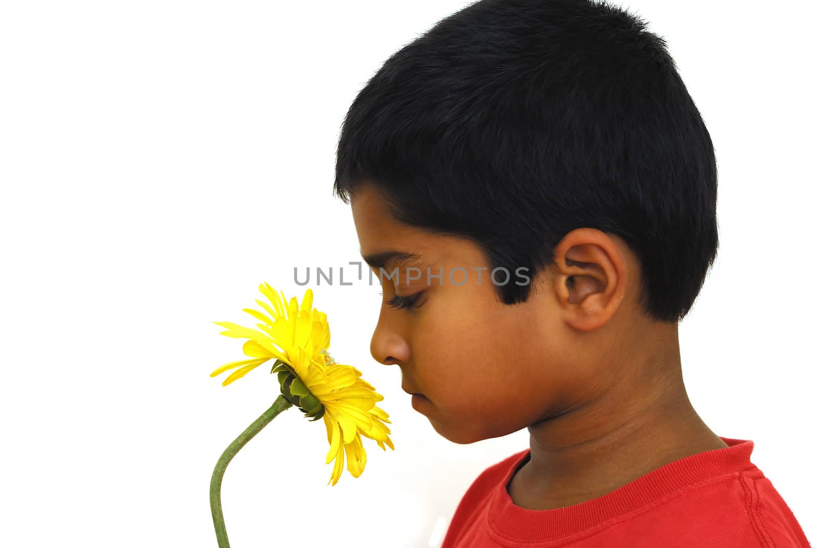 An handsome indian kid smelling a yellow flower