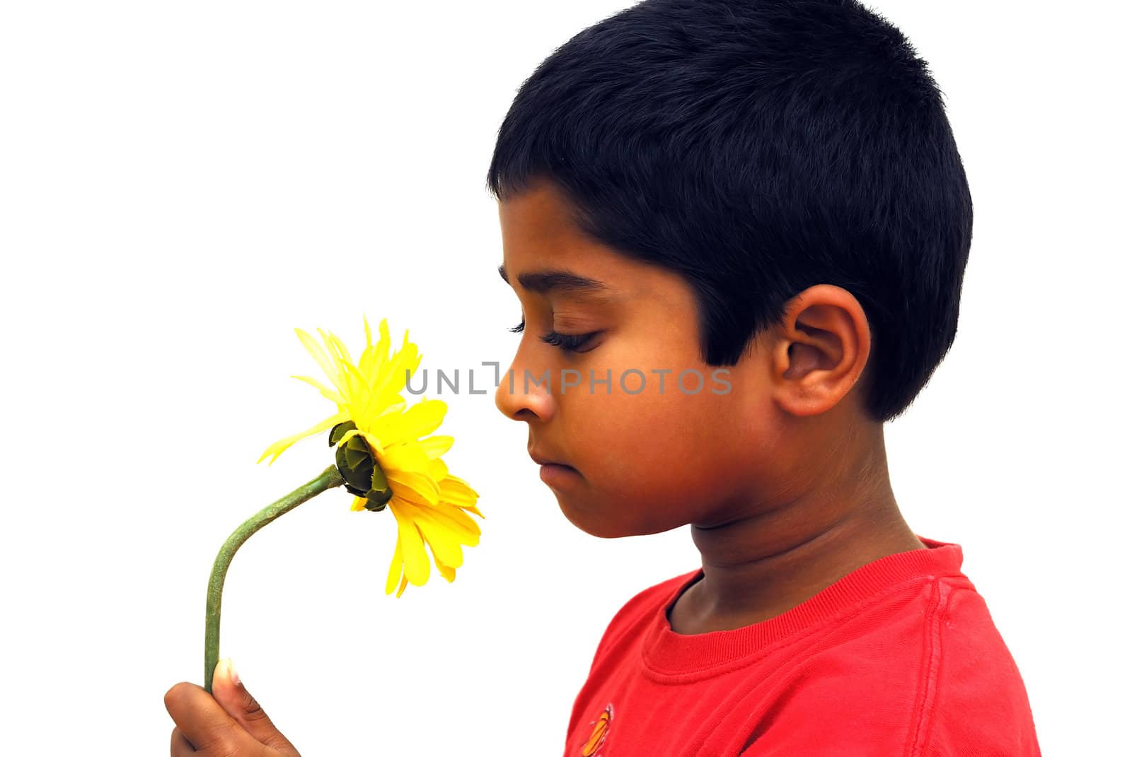 An handsome indian kid smelling a yellow flower