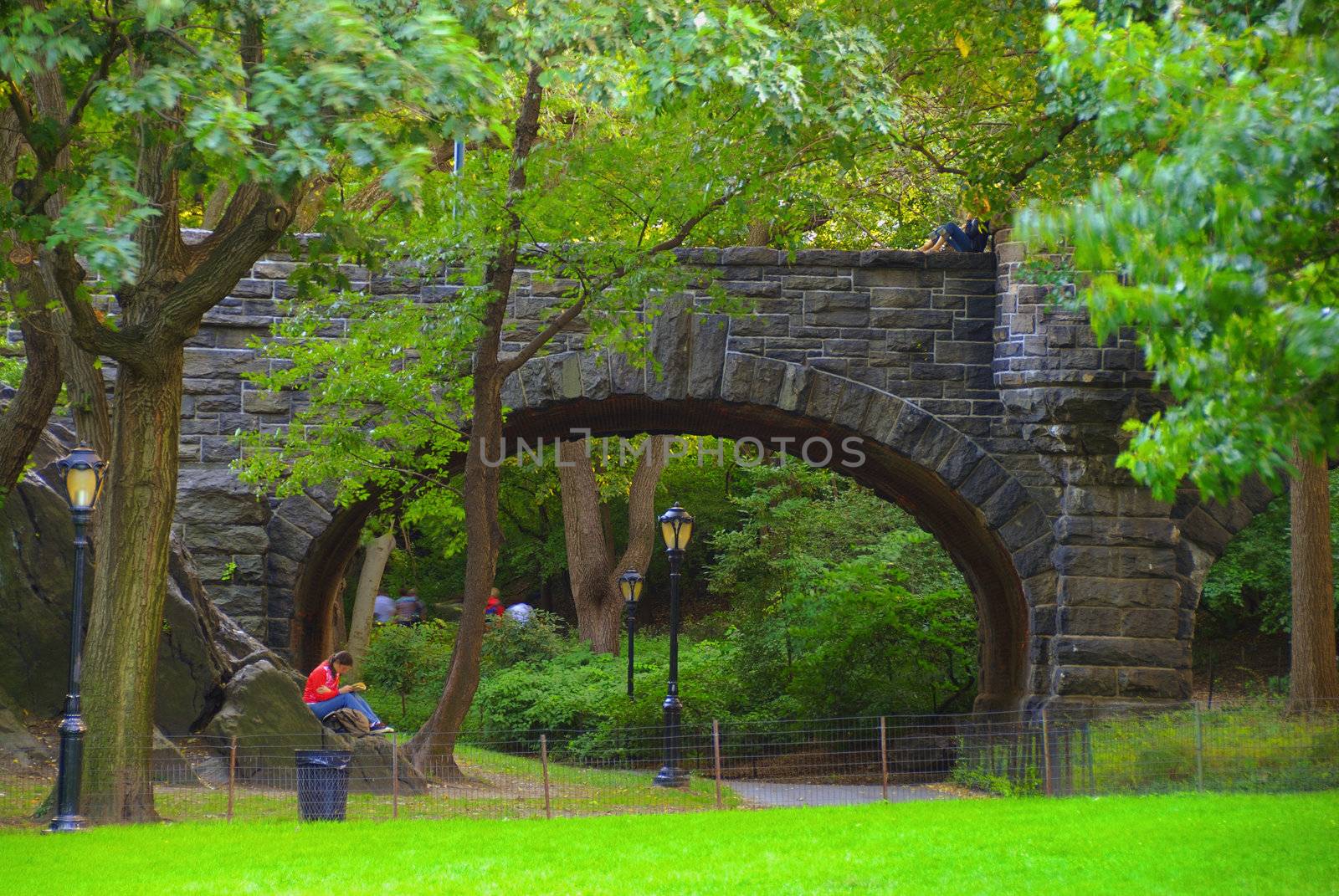 A girl reading book at a local park