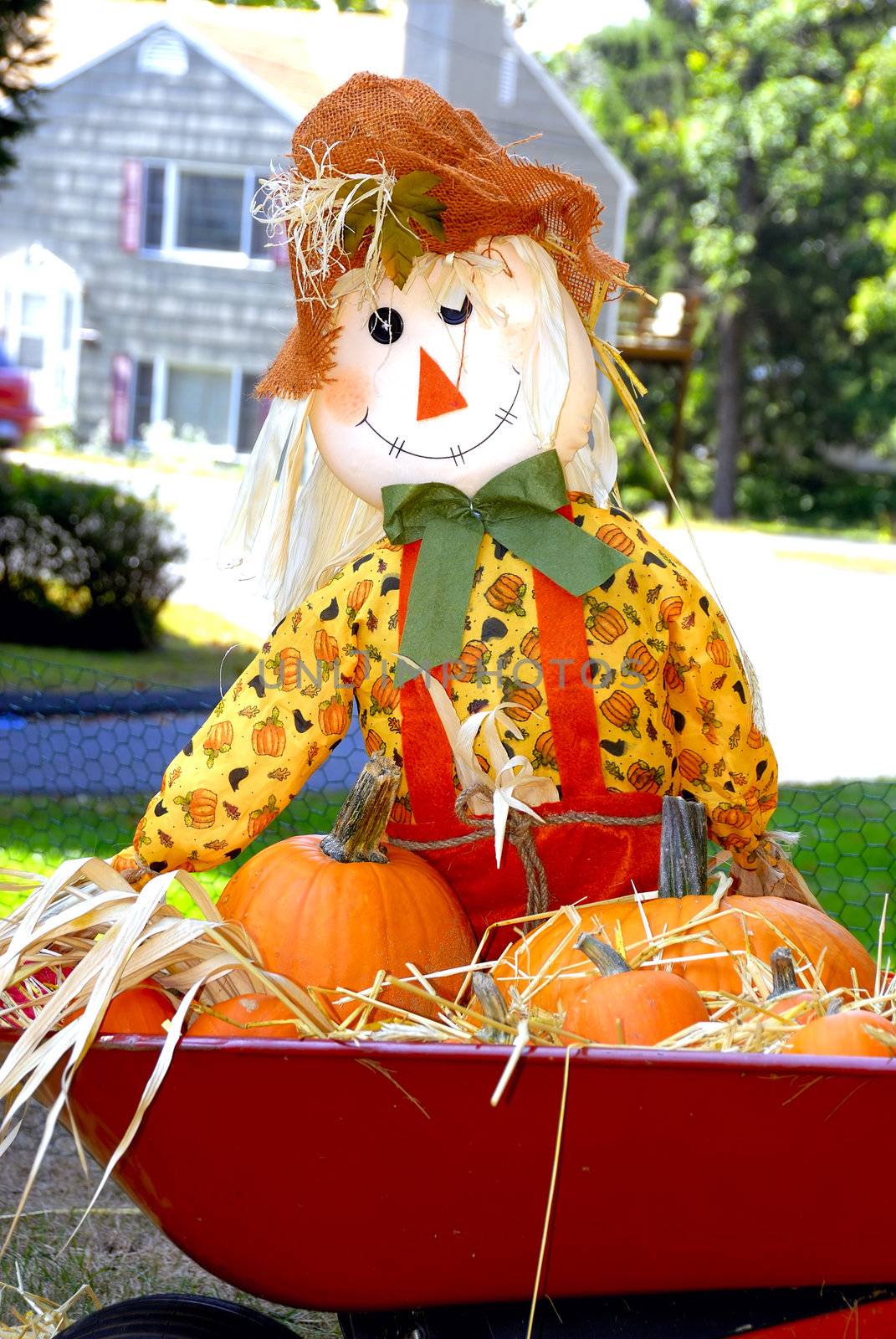 A scarecrow decorated with a halloween theme
