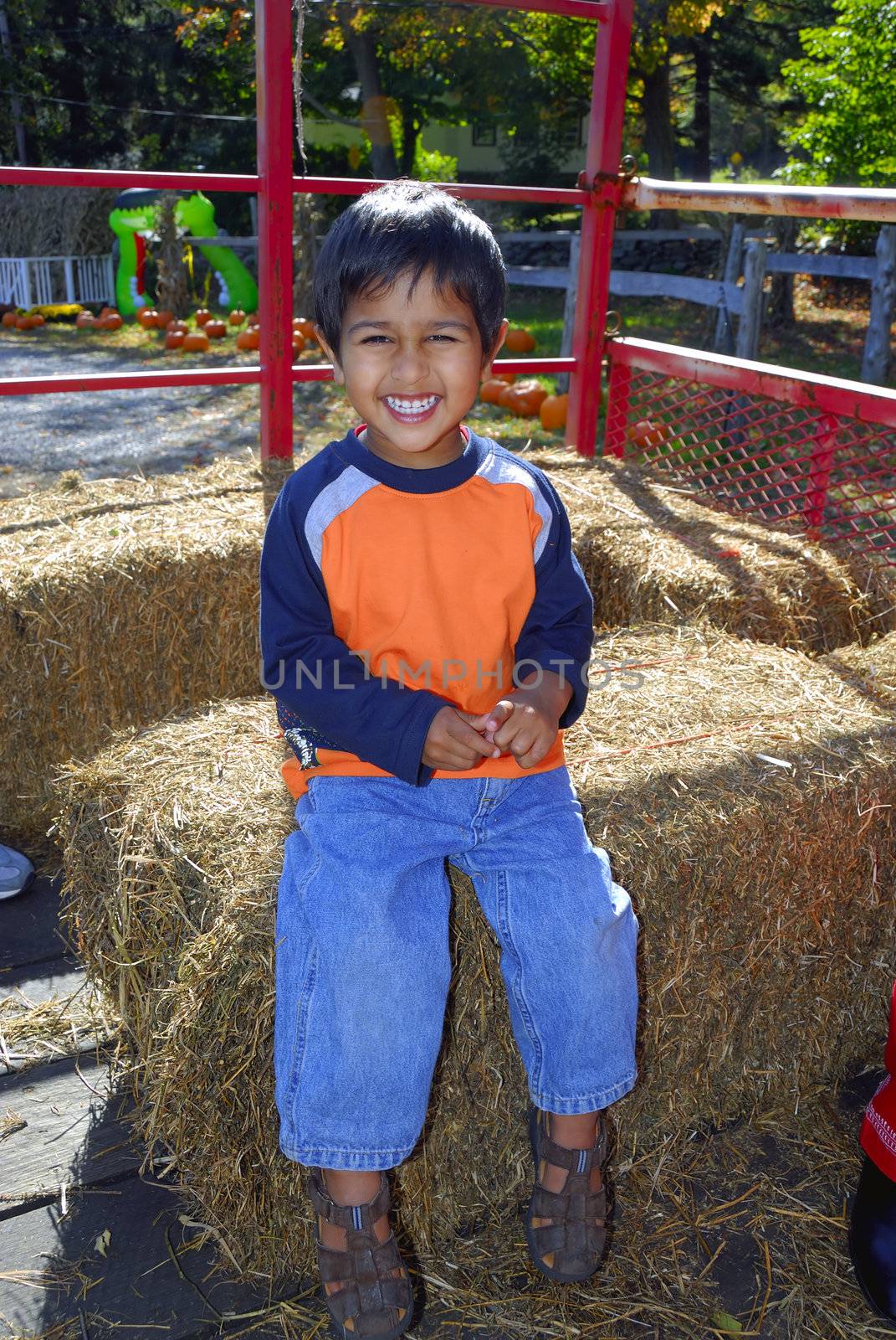 An handsome indian kid having fun with hay ride