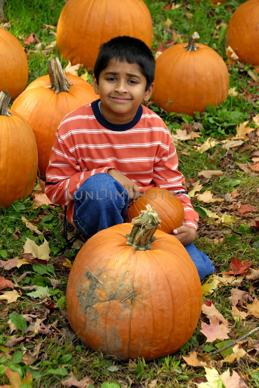 An indian kid having fun purchasing pumpkins