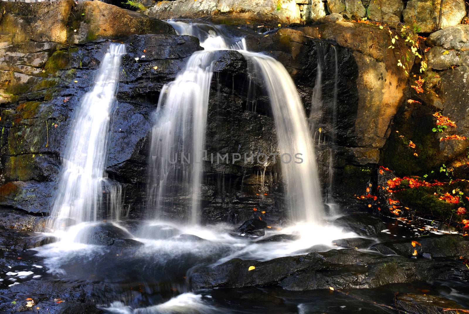 Fall Waterfall by pazham