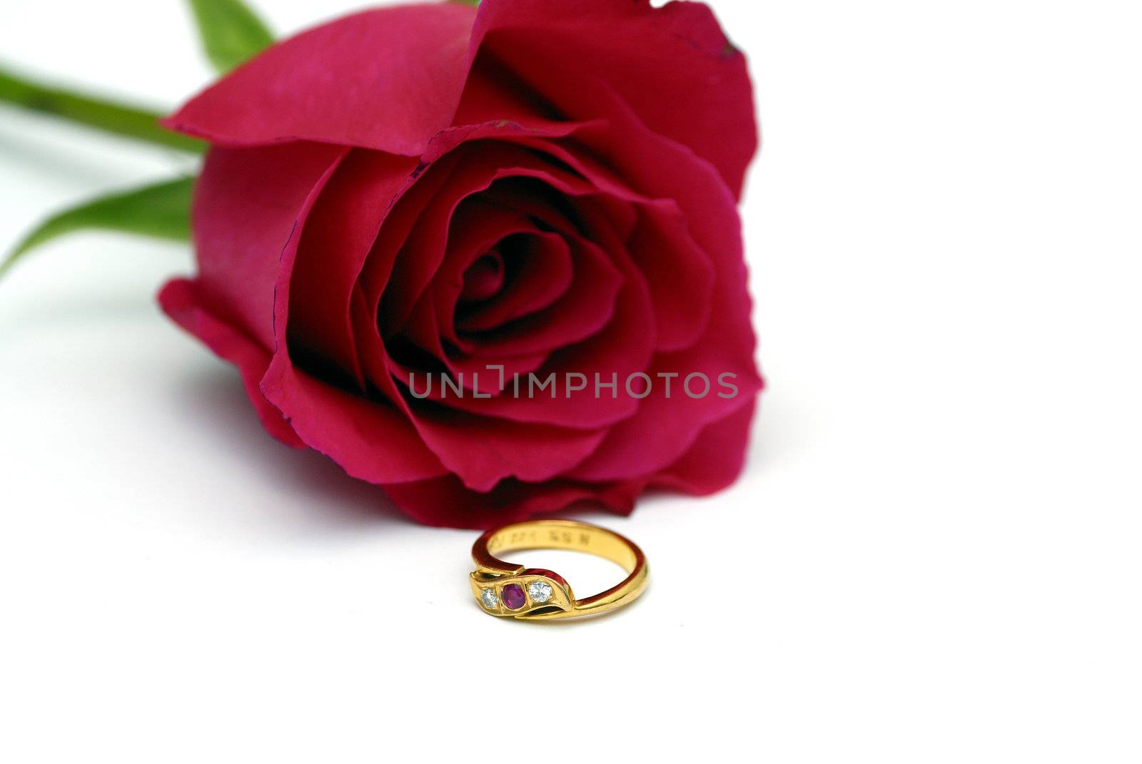 Rose and Rings symbol of happy vanetine