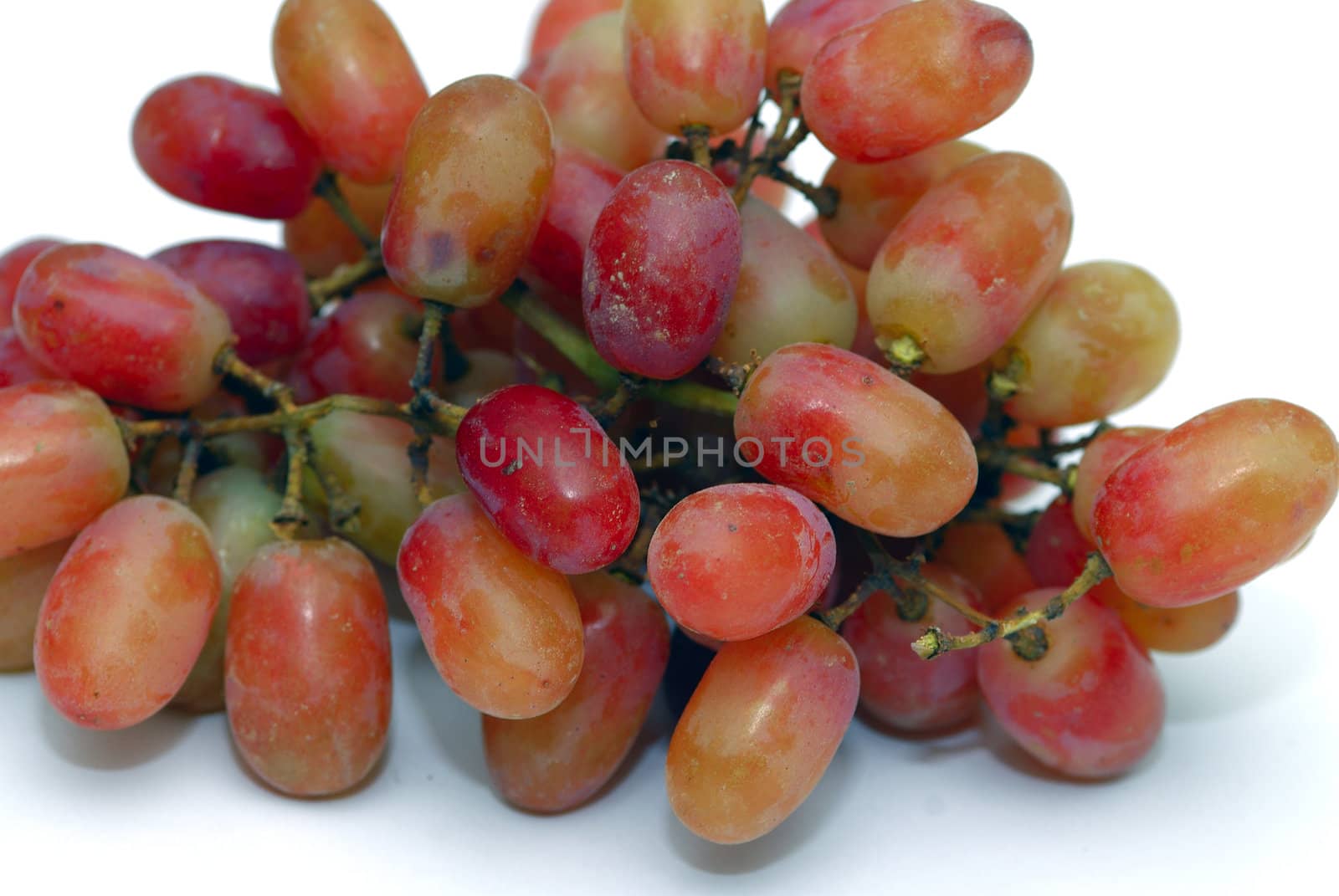 Close up shot of freshly picked grapes