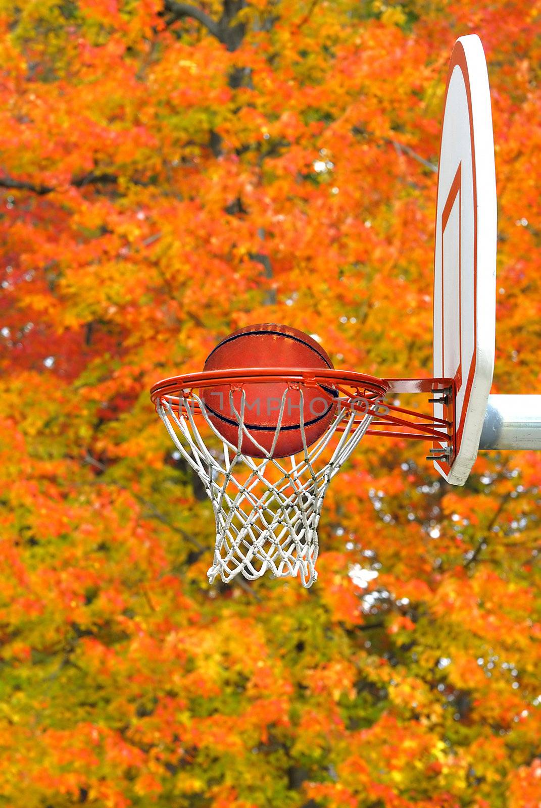 Basketball hoop against the vibrant fall colors