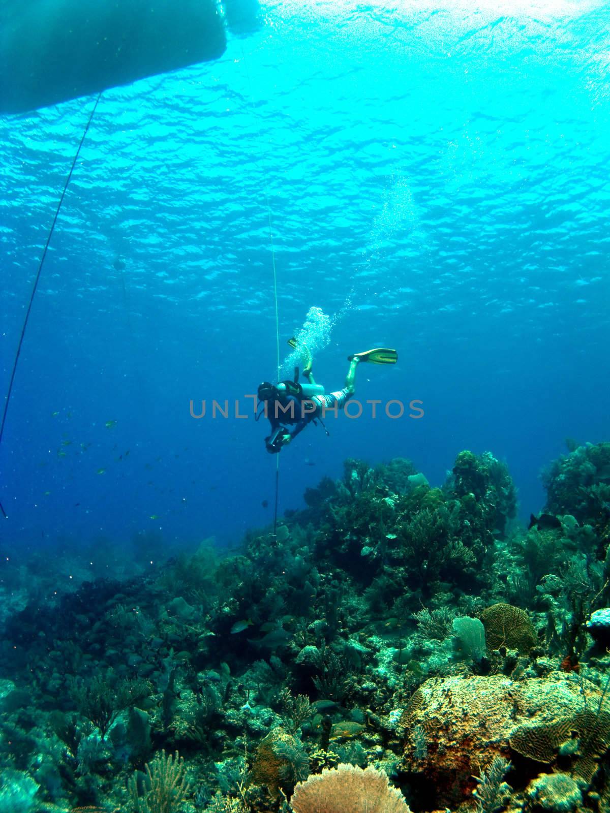 Dive Master underneath the Boat in Cayman Brac