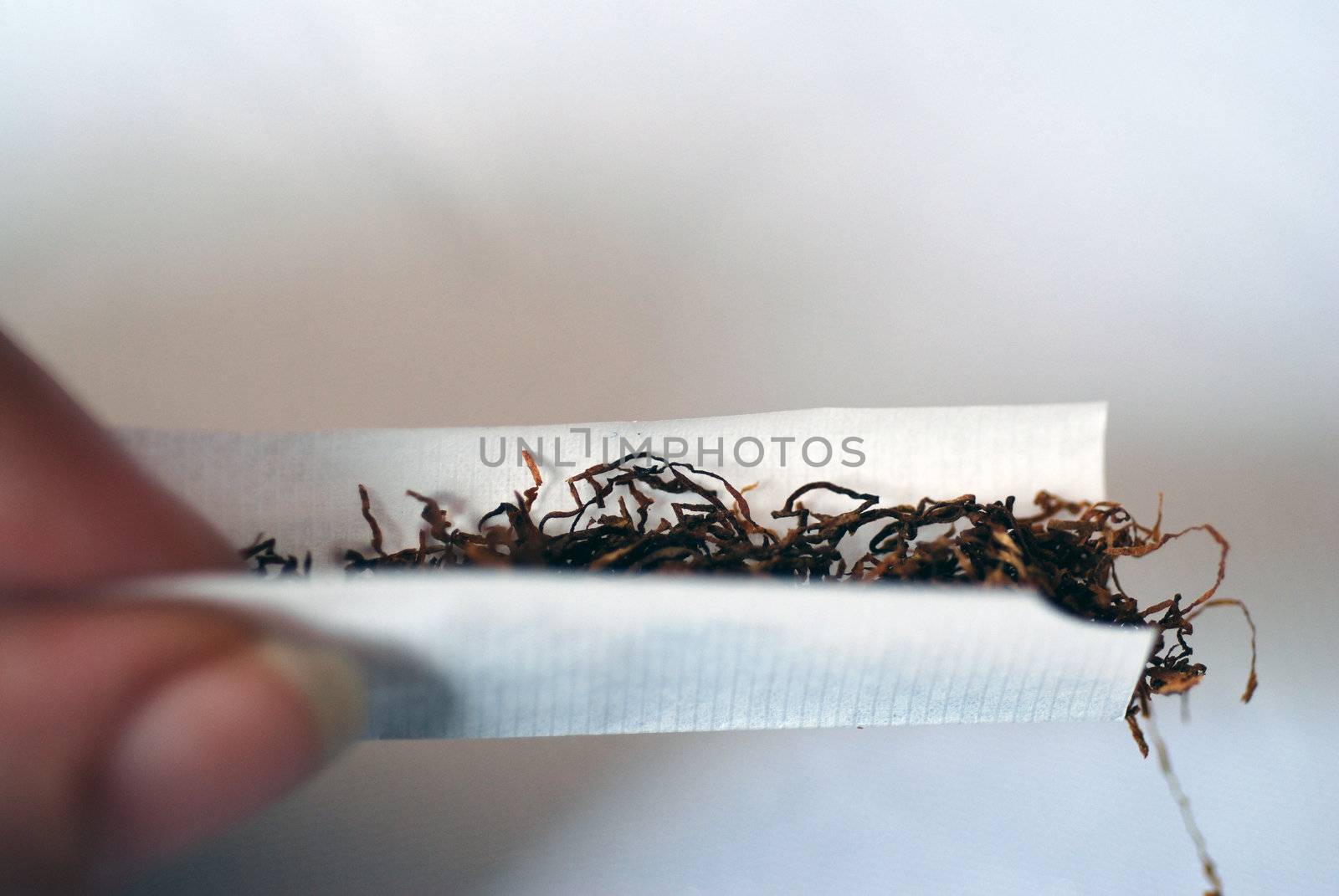 A close-up of a cigarette being rolled