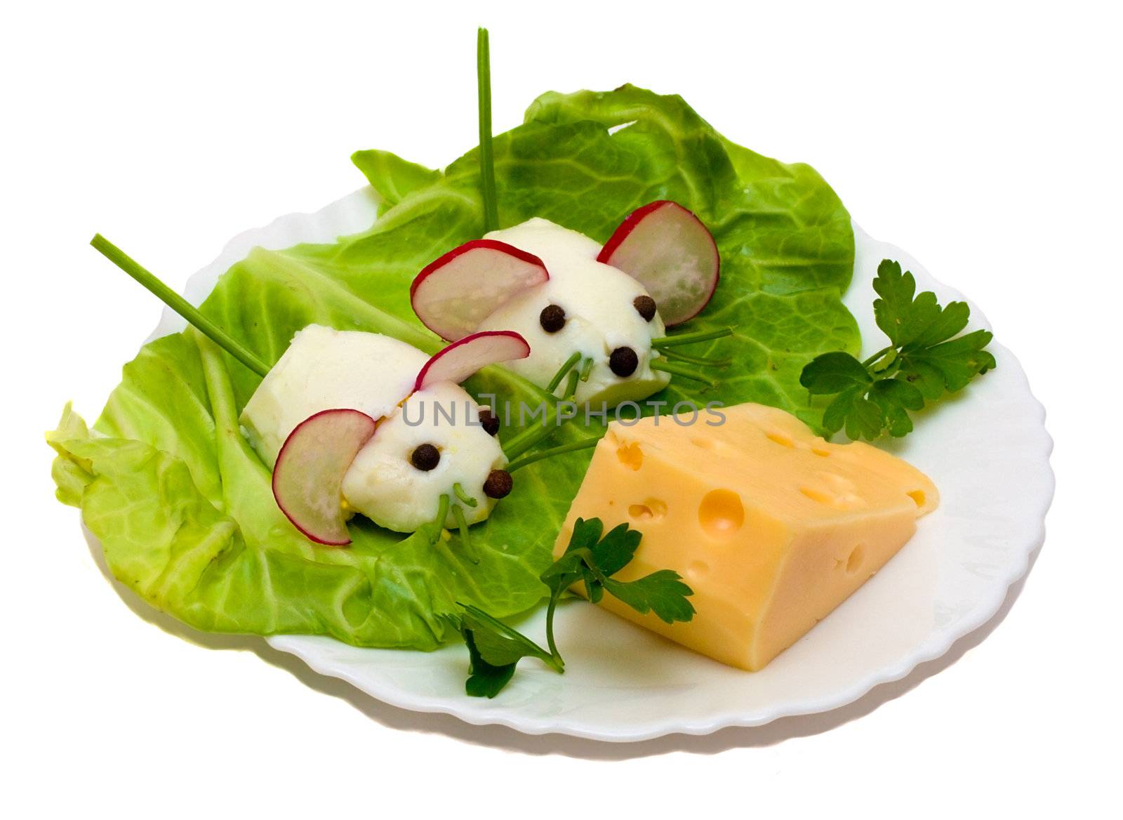 salad - two mouse and cheese by Alekcey