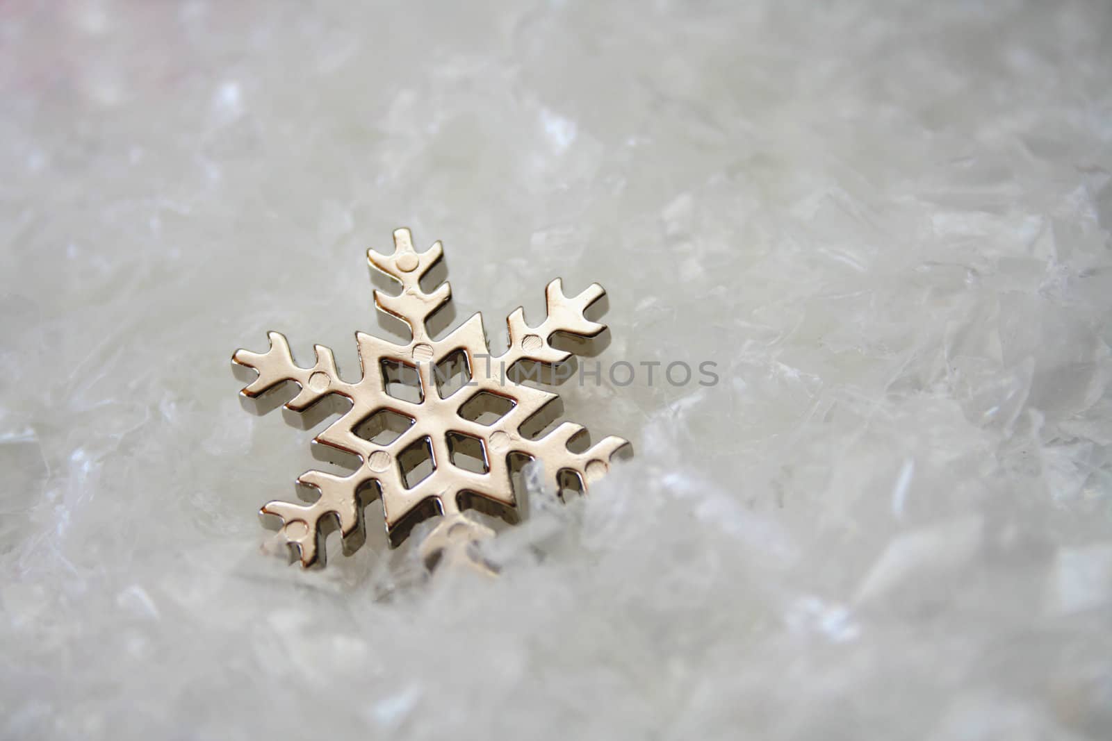 Snowflake by thephotoguy