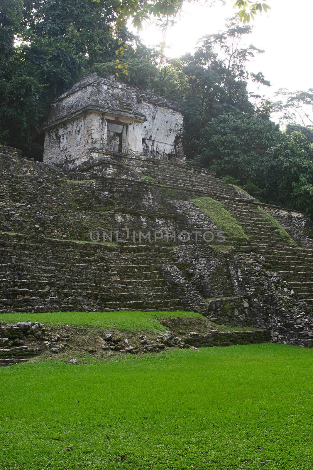 Antique ruins of mayan tomb over green grass