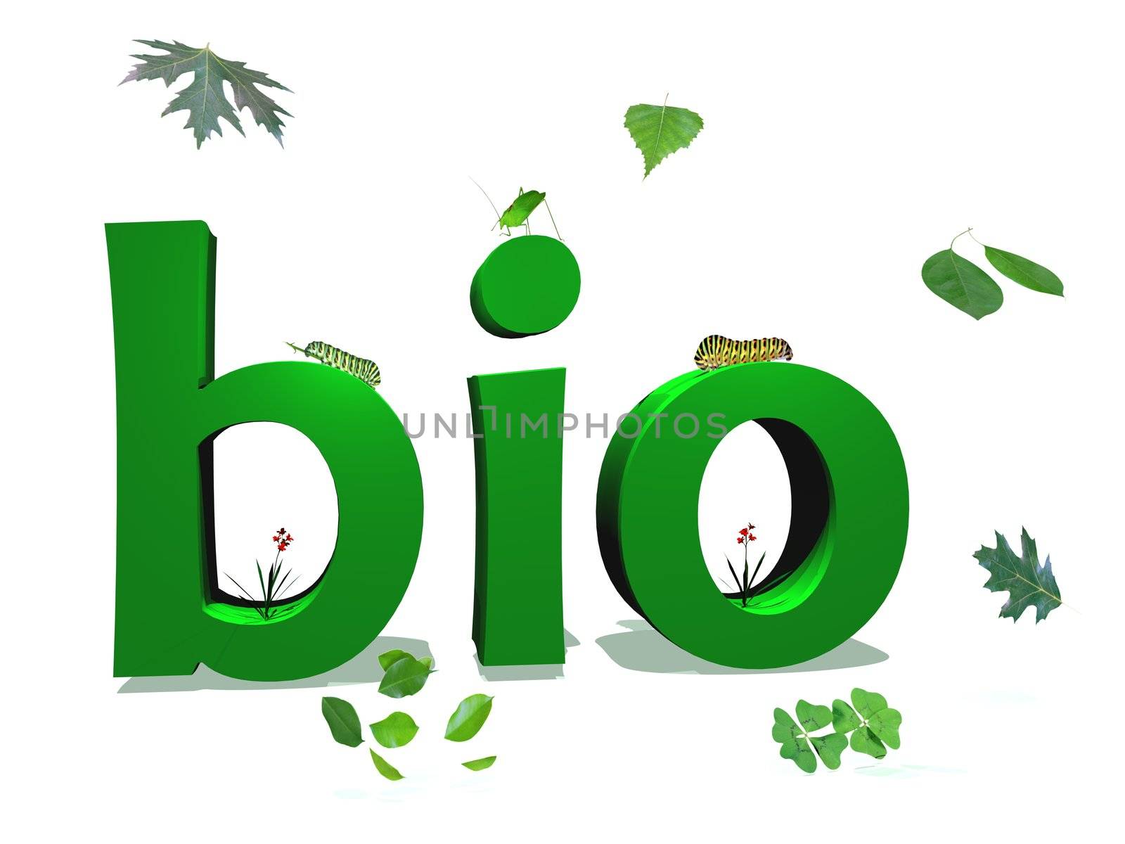 Green bio letters color surrounded by green leaves and insects in white background