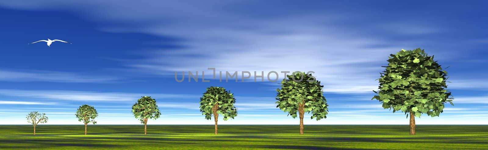 Small to big trees in a nature background with blue sky, green grass and a flying bird