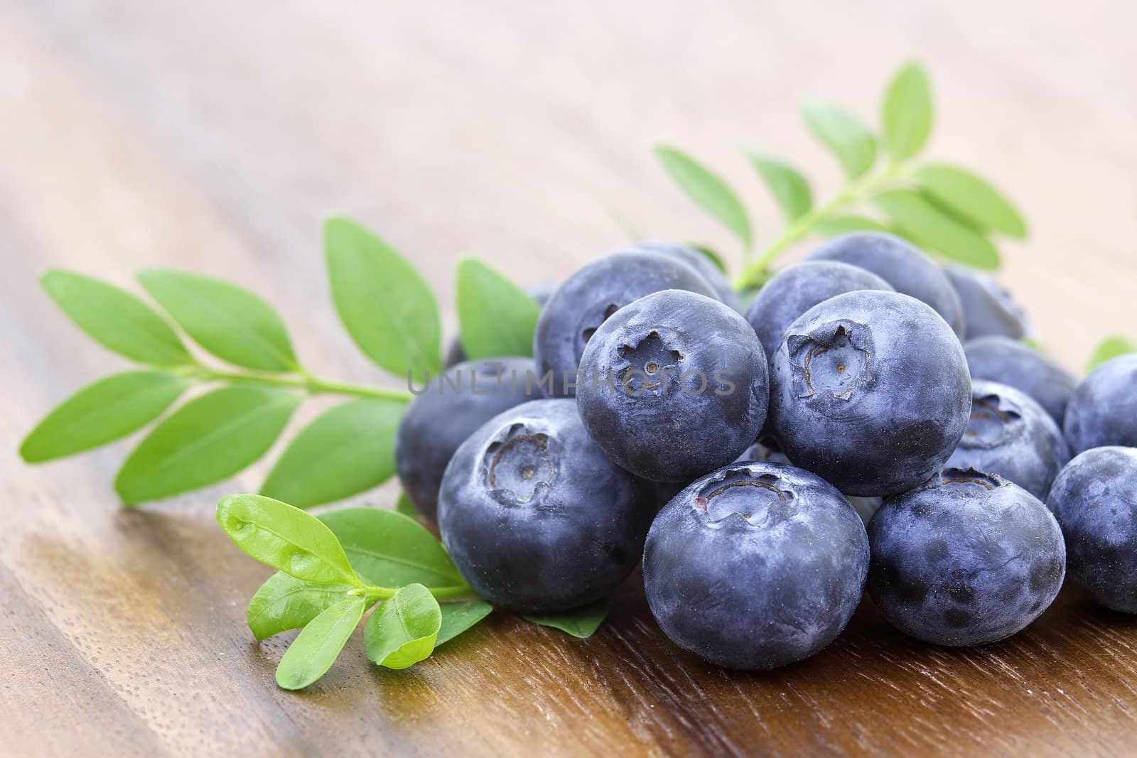 fresh blueberries