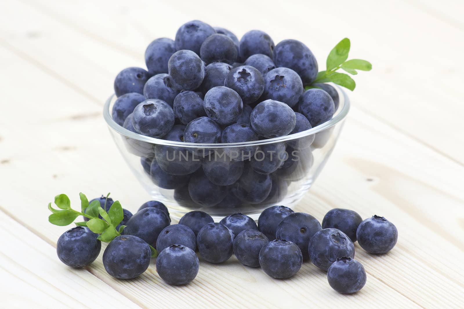 fresh blueberries in a bowl