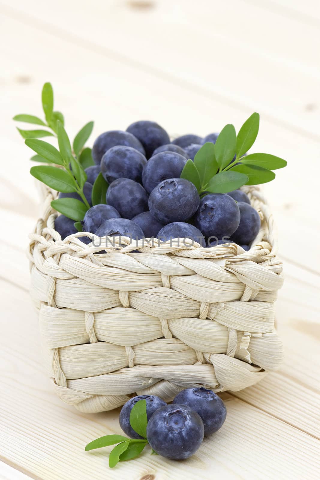 fresh blueberries in a basket