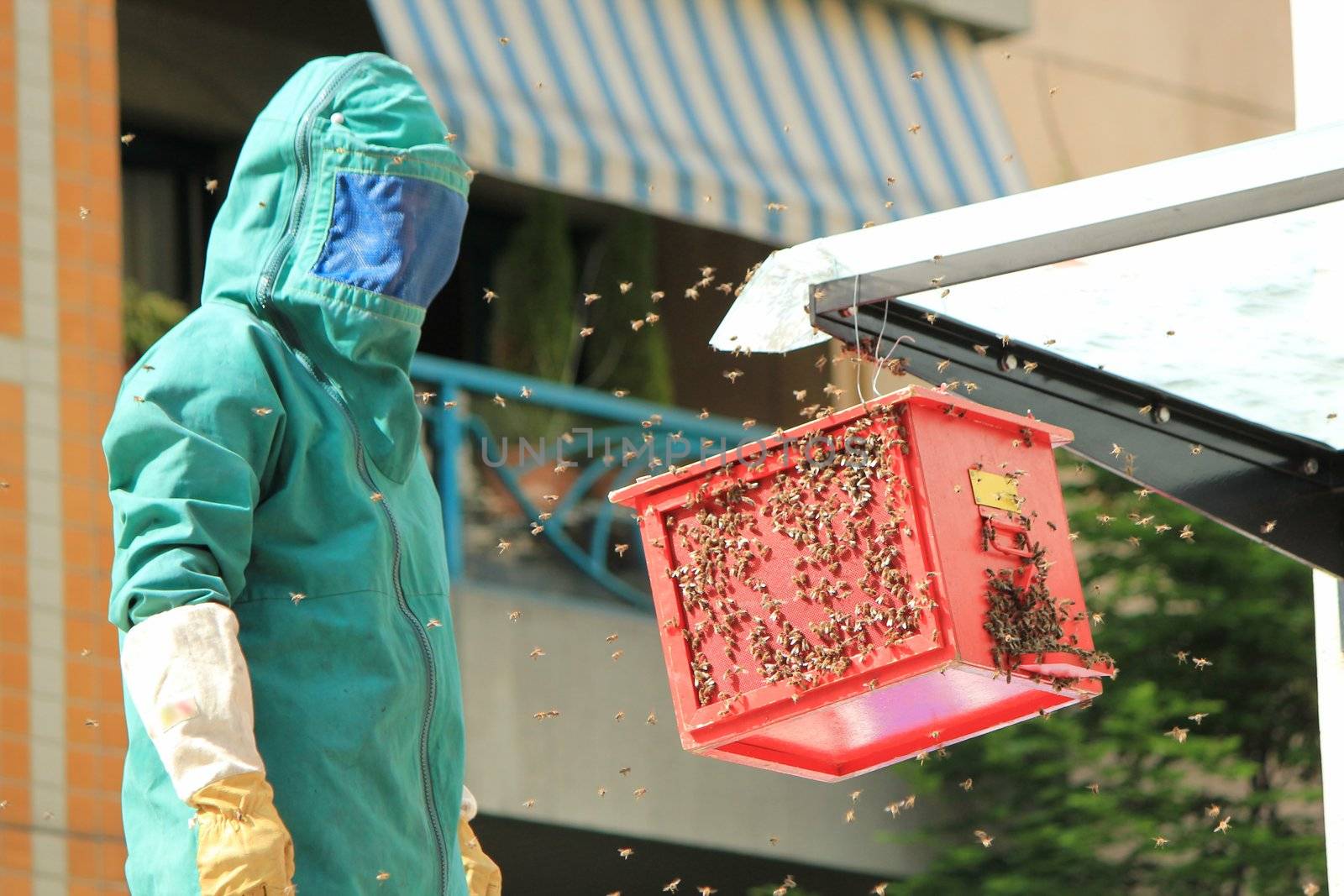 Fireman wearing green clothes to protect from bees that he's trying to attract on the red box