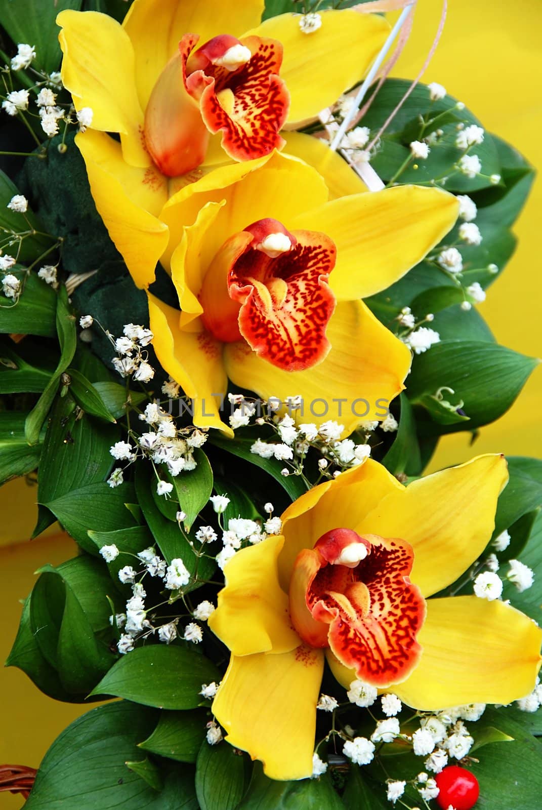 beautiful blooming flowers bouquet with three yellow orchids