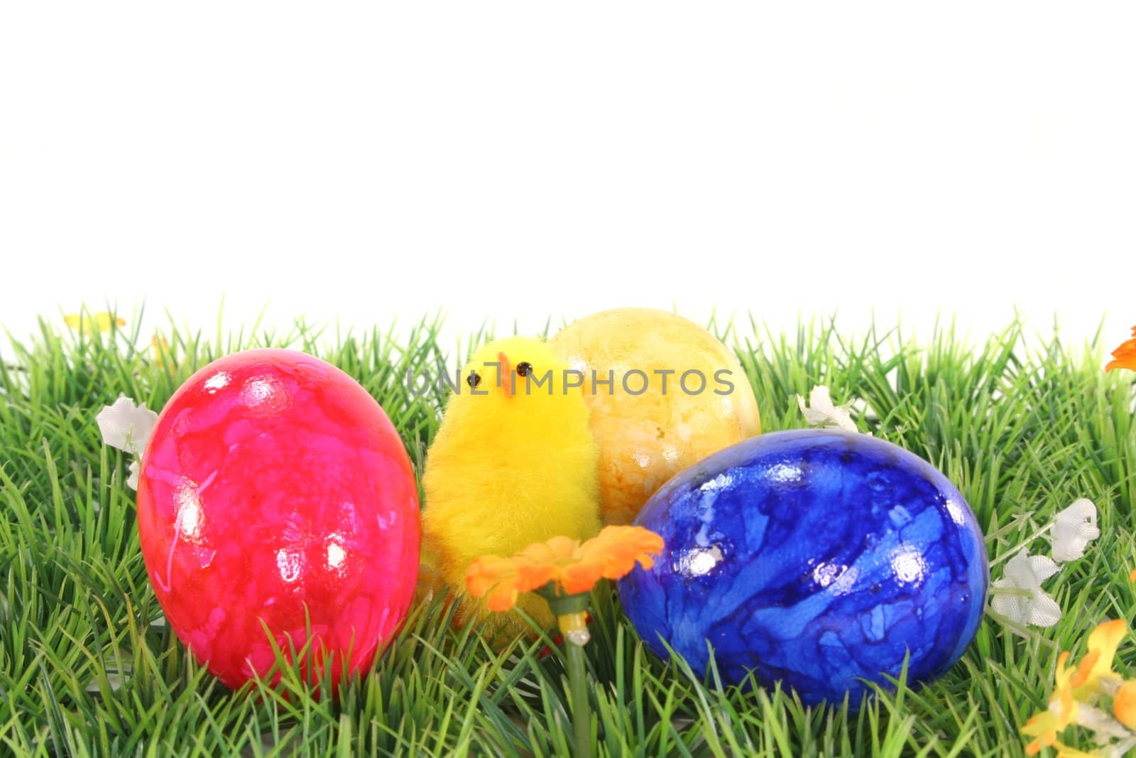 Easter eggs and chicks on a meadow by discovery
