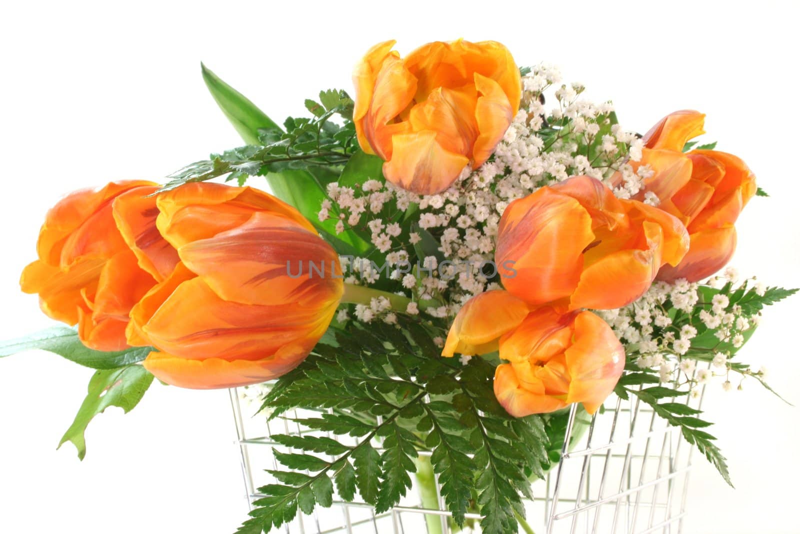 colorful tulips in the basket before a white background