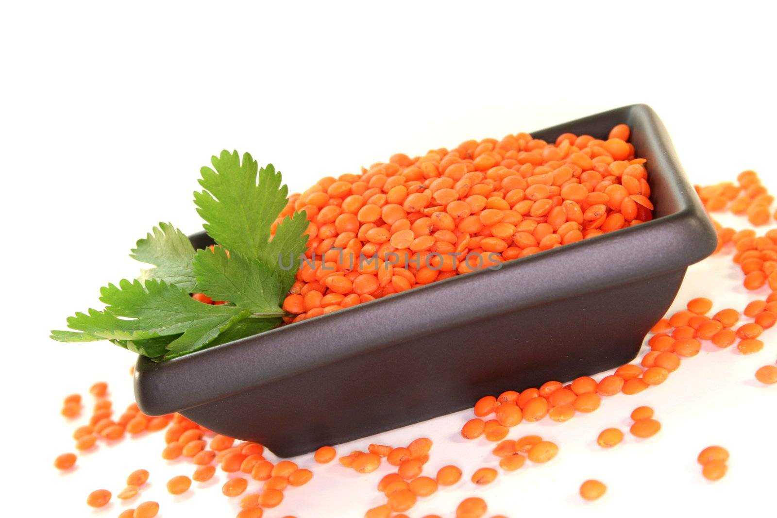 dried red lentils with coriander on a white background