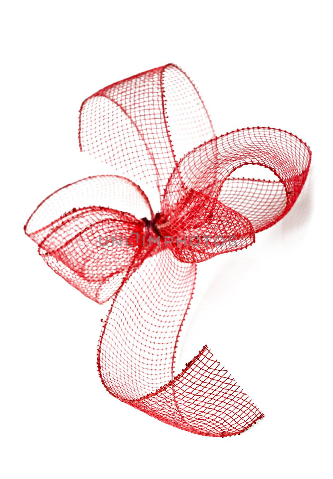 Red ribbon bow on a white background by tish1