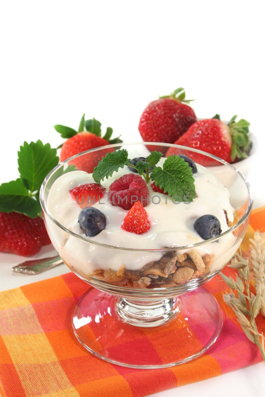 a bowl of fruit muesli with yogurt and lemon balm