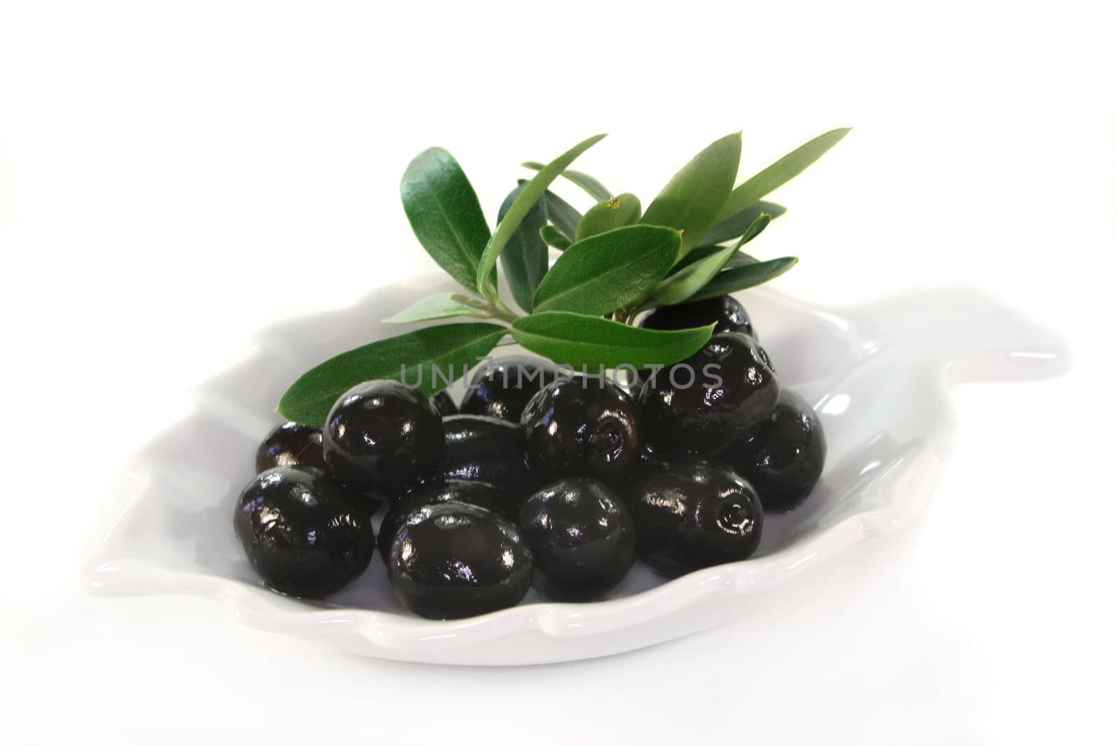 Olives and olive branch on a white background