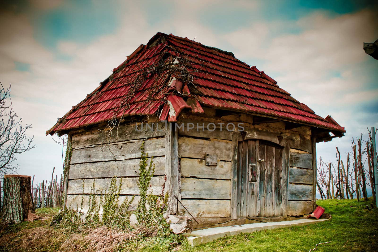 Old wooden cottage - wine cellar in Kalnik mountain region, Croatia