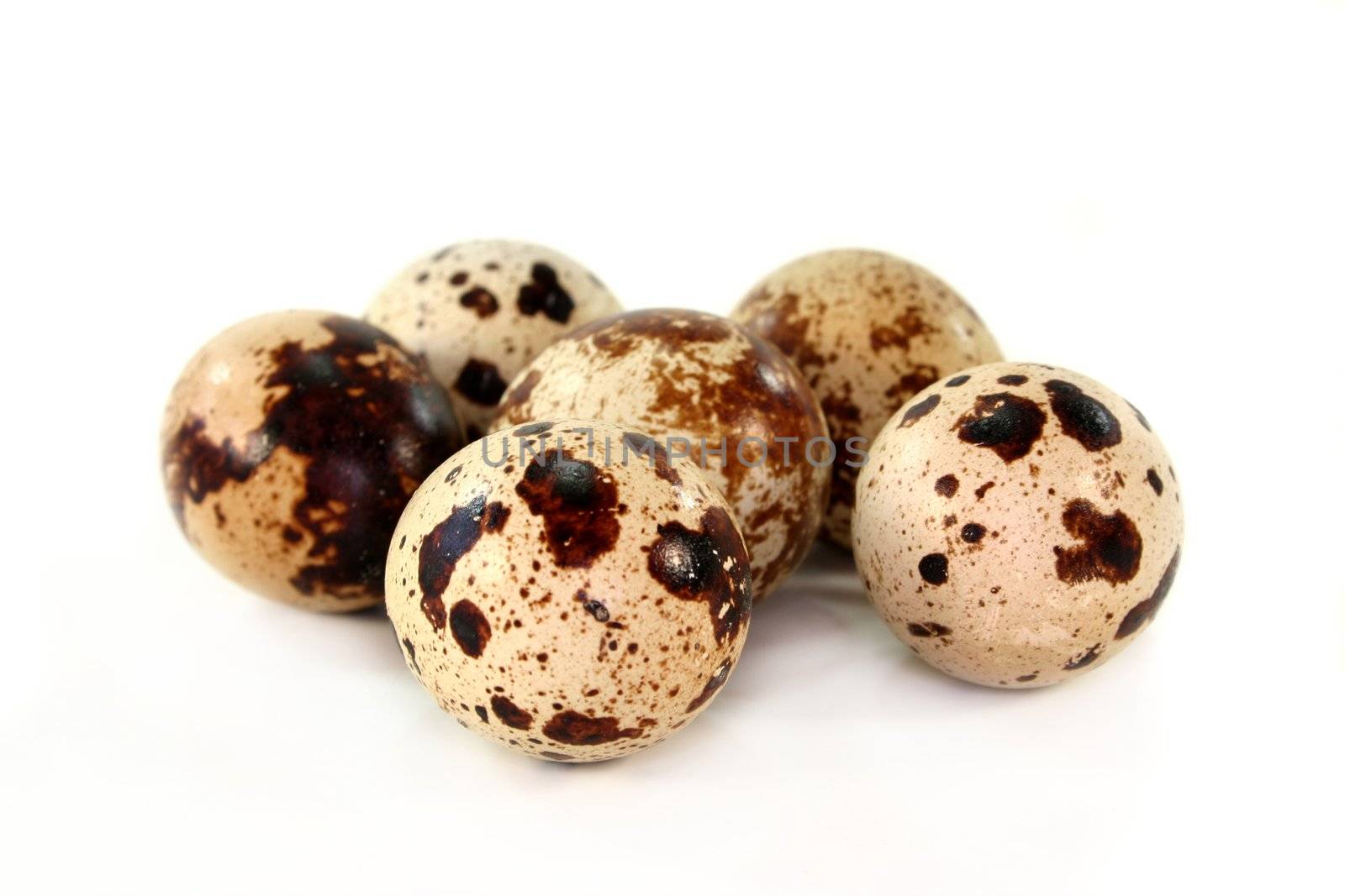 a couple of quail eggs on a white background