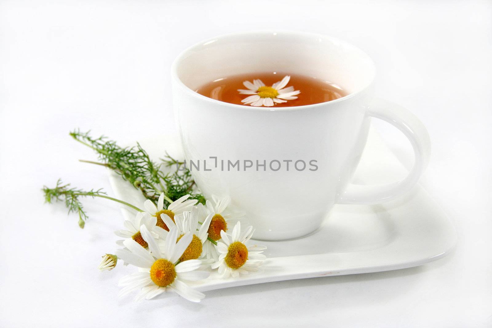 a cup of chamomile tea with fresh chamomile