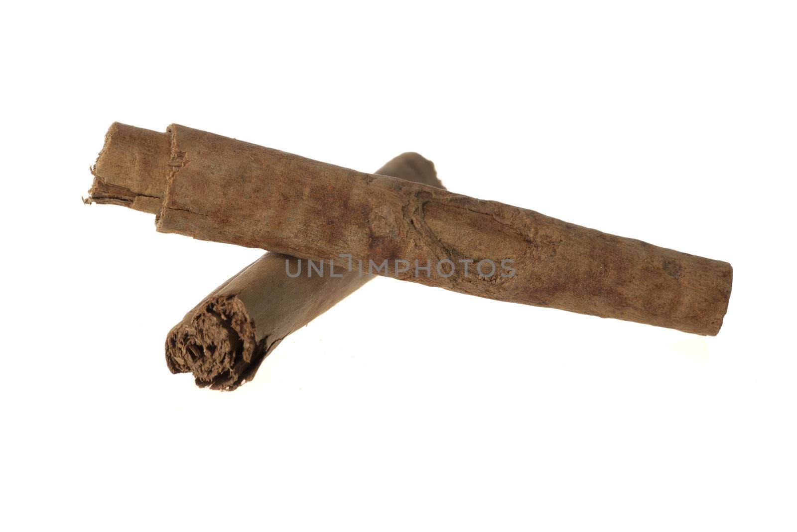 Two cinnamon sticks on white background