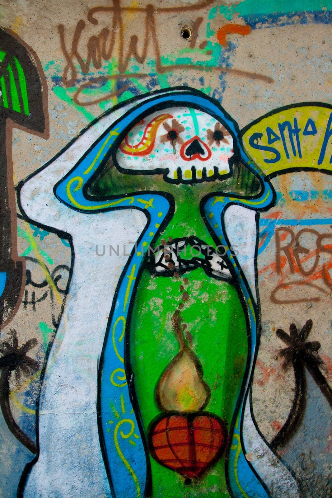 Sample of a kind of urban culture that comes true on the basis of painting the walls with spray and that commonly  is called Graffiti
