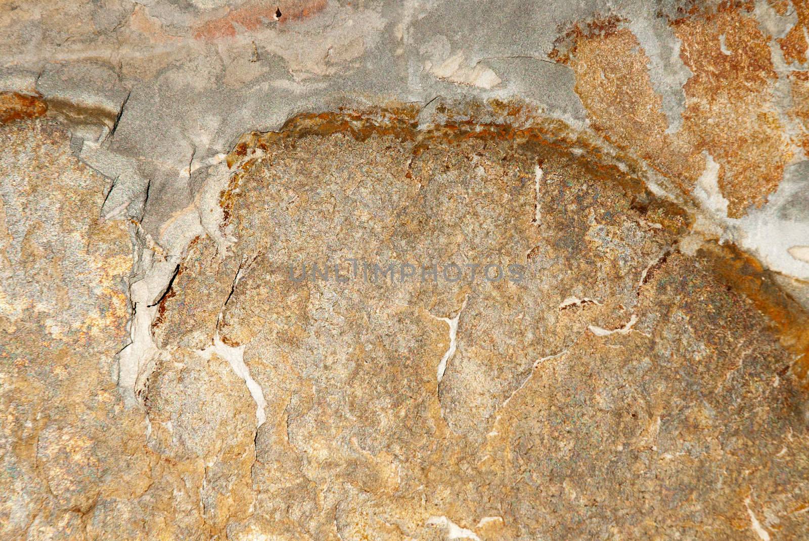 A background texture of shale rock.