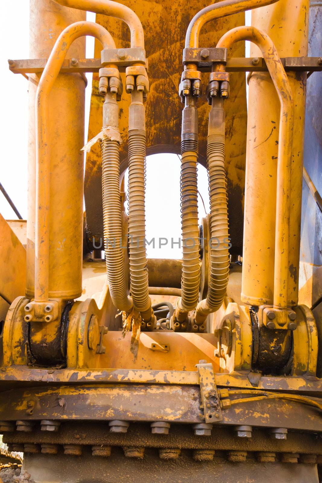 Hydraulic hoses on a old bulldozer